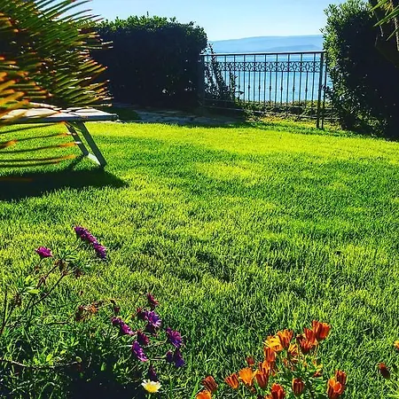 Grachira 4* Fertilia