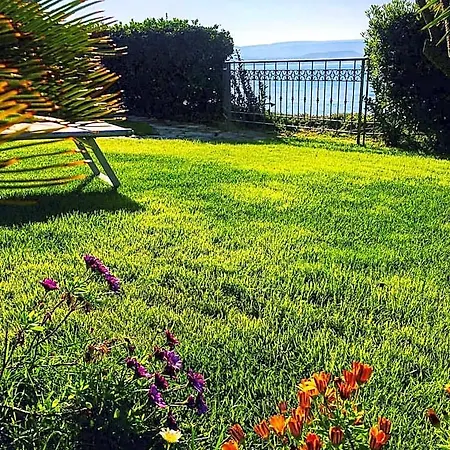 Grachira Bed and Breakfast Fertilia